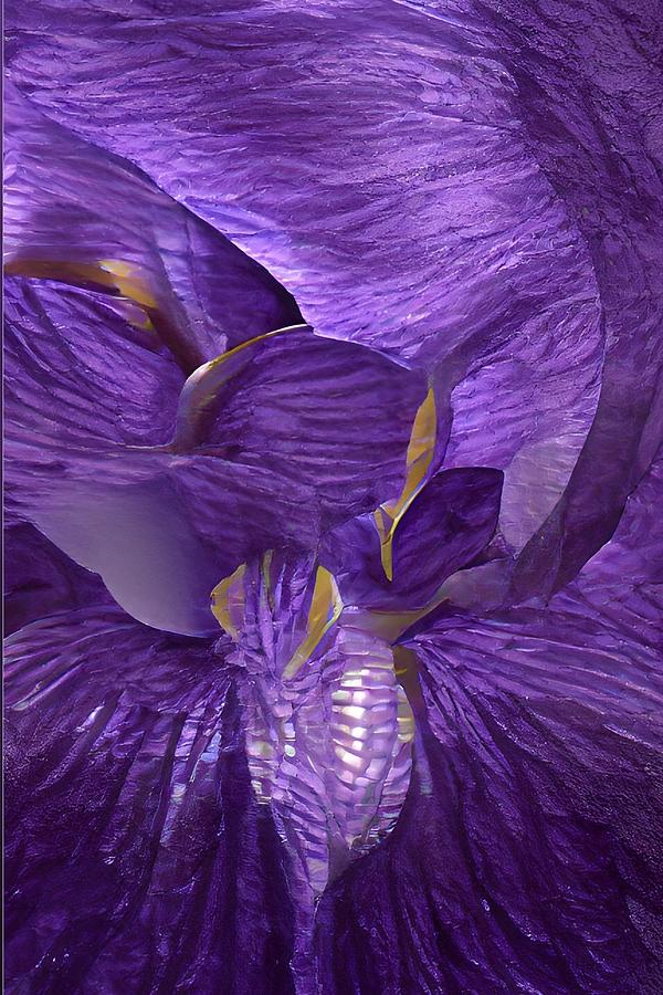 Purple Iris Abstract Photograph by Jerry Abbott