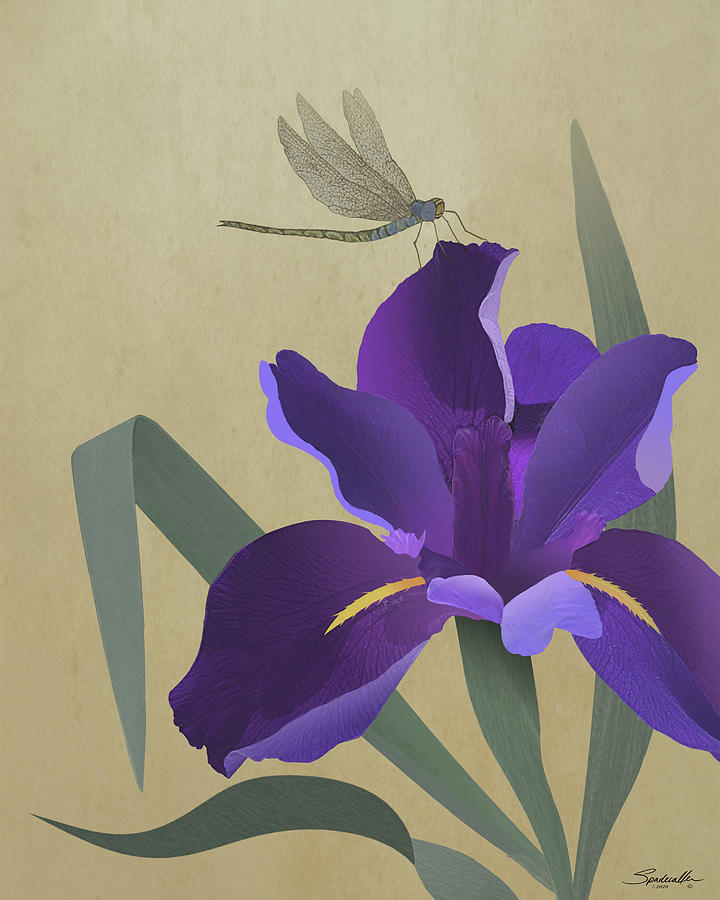 Purple Iris and Dragonfly Mixed Media by M Spadecaller