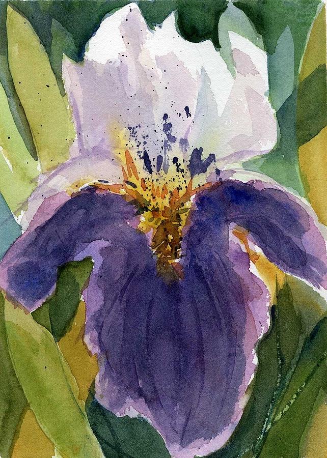 Purple Iris Bloom Painting by Anna Jacke