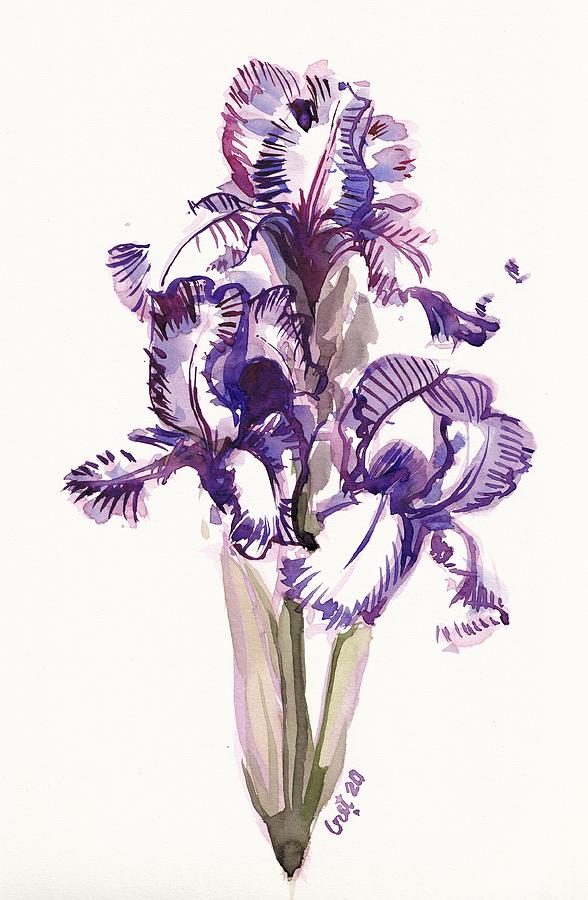 Purple Iris Painting by George Cret