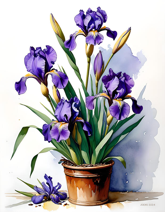 Flower Digital Art - Purple Iris by Greg Joens