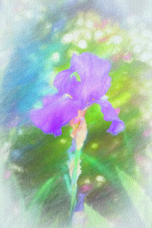 Purple Iris Impression II Mixed Media by Linda Brody