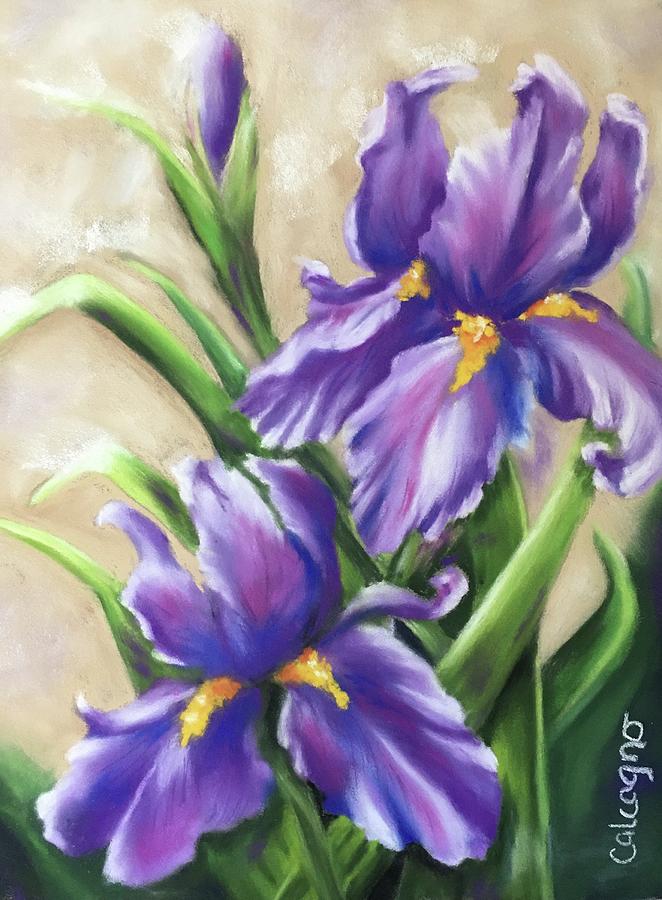 Purple Iris Pastel by Kathy Calcagno - Fine Art America