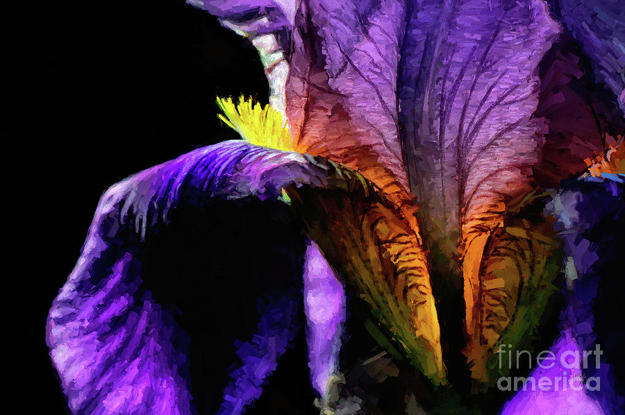 Purple Iris Digital Art by Lois Bryan