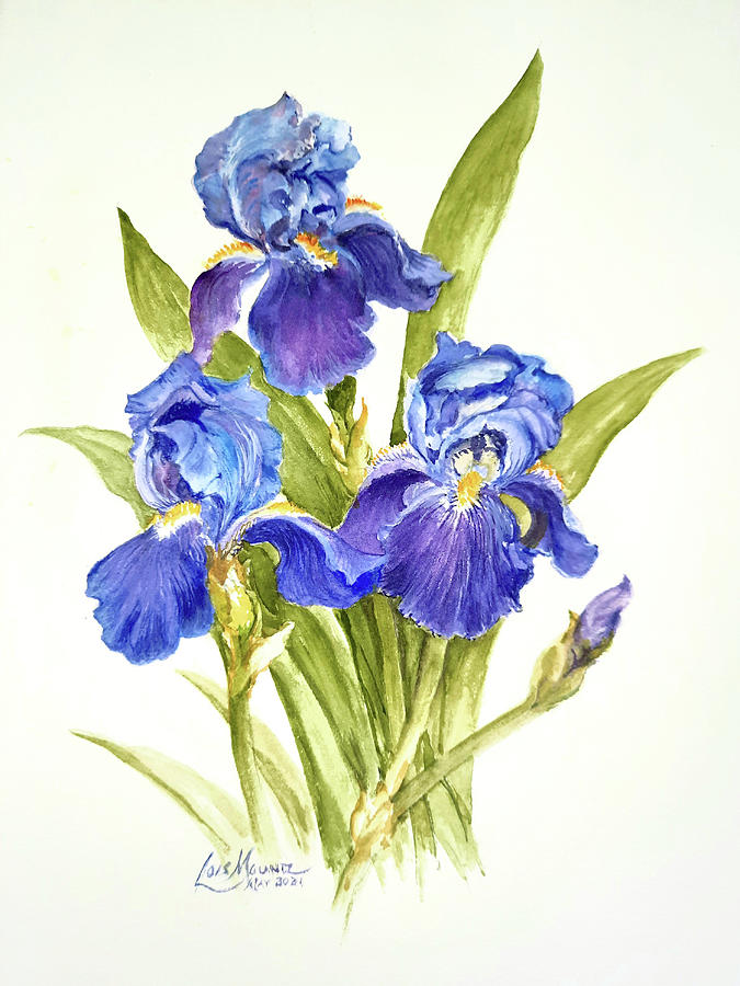 Purple Iris Painting by Lois Mountz