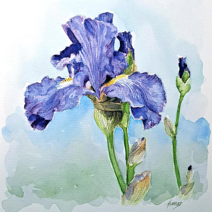 Iris Paints Watercolors • The Turquoise Iris