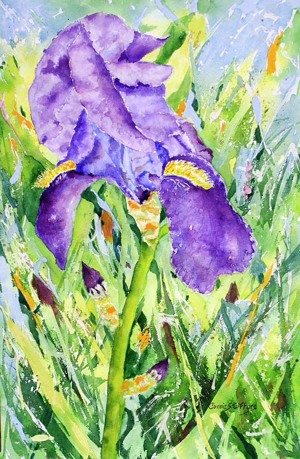 Purple Iris of Spring by Connie S. Gifford Painting by Connie Gifford ...