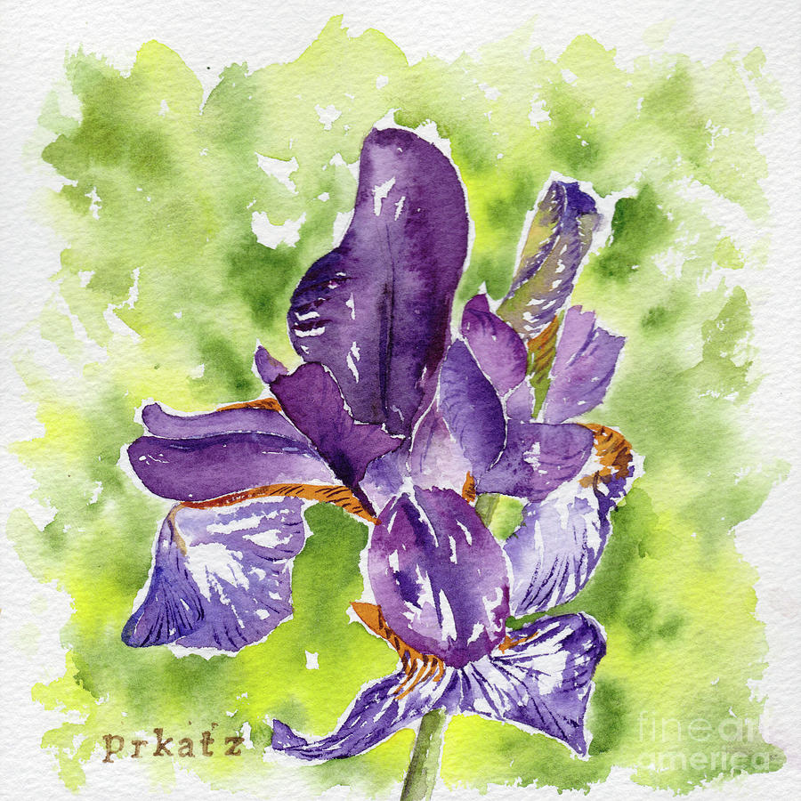Purple Iris On Lime Painting by Pat Katz