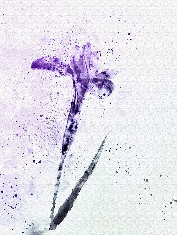 Purple Japanese Iris in Watercolor Painting by Susan Maxwell Schmidt