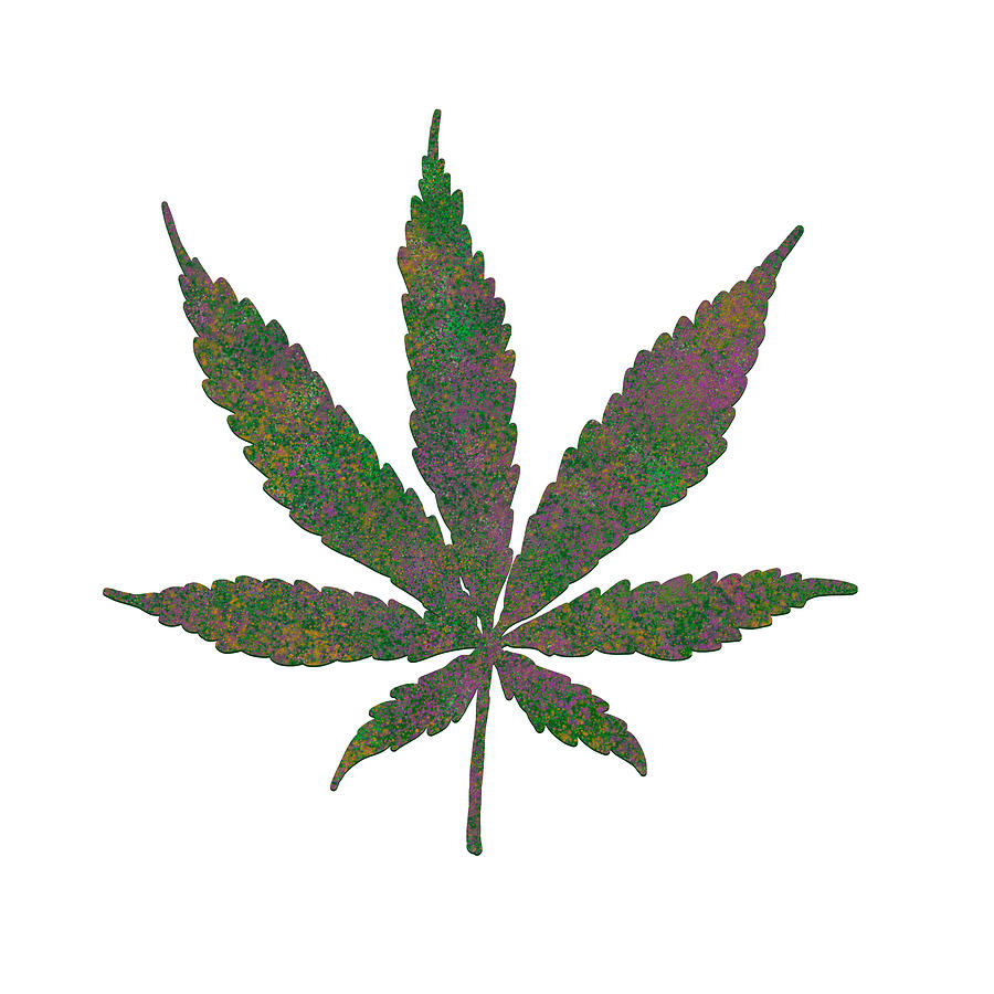 Abstract Mixed Media - Purple Kush Cannabis Leaf by Angie Tirado
