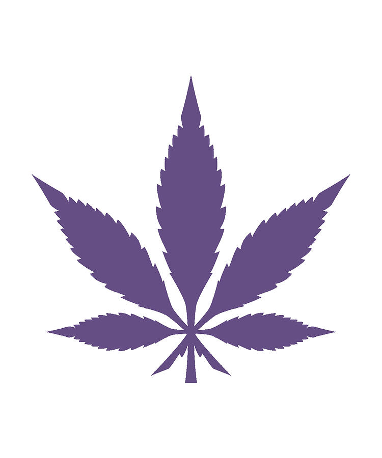 purple weed in blunt