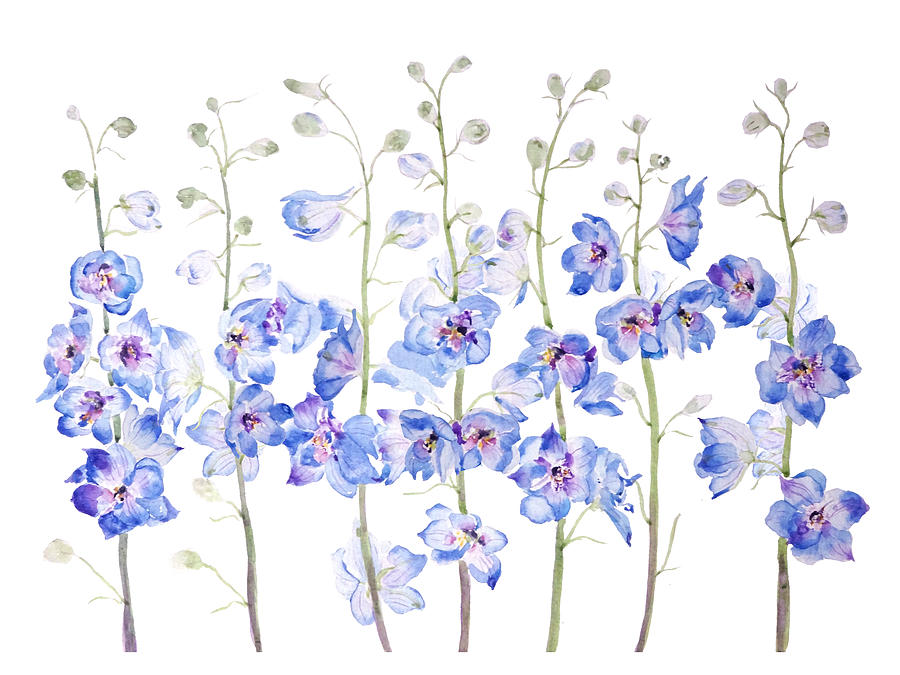 larkspur painting