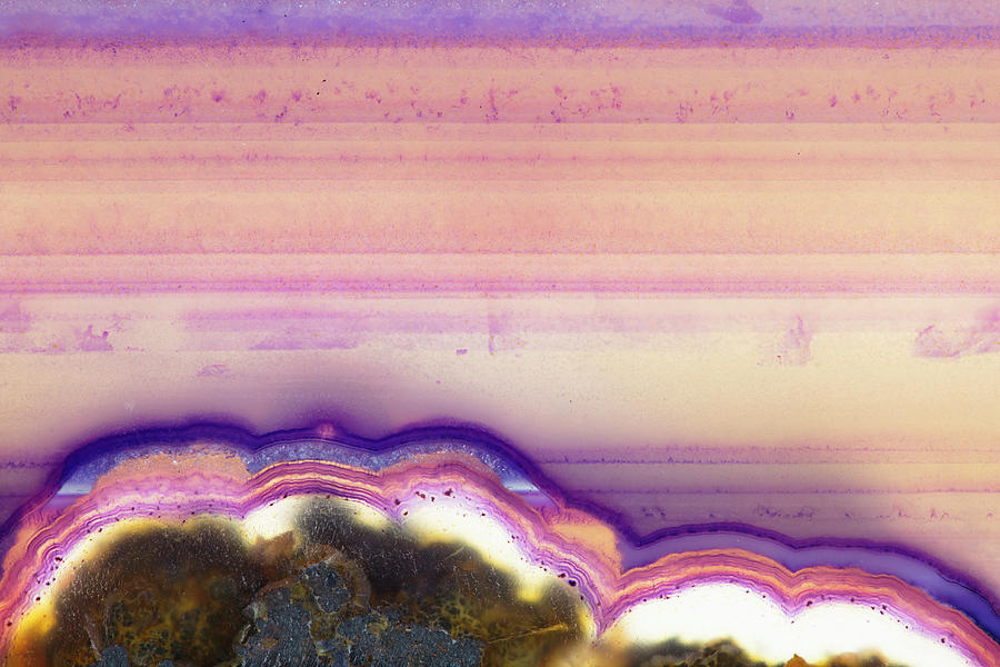 Purple Layers Edge - Macro Abstract Photograph
