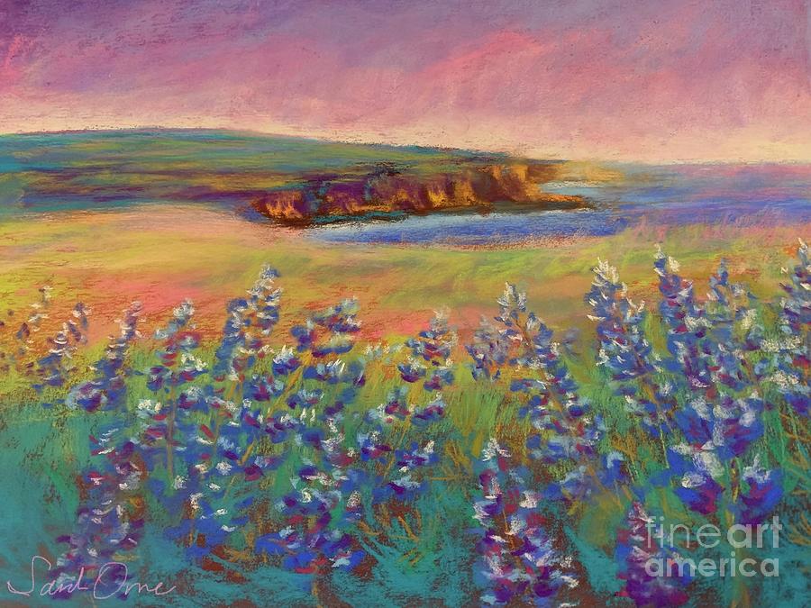 Sunset Pastel - Purple Lupin Sunset  by Sarah Orre