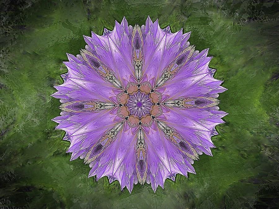 Purple Mandala 2 --- Bob-mcdonnell.pixels.com Photograph by Bob McDonnell