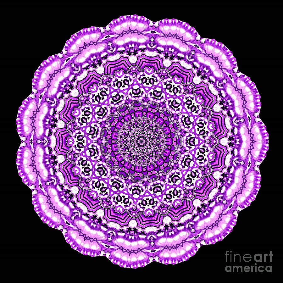 Purple Digital Art - Purple Mandala by L A Feldstein