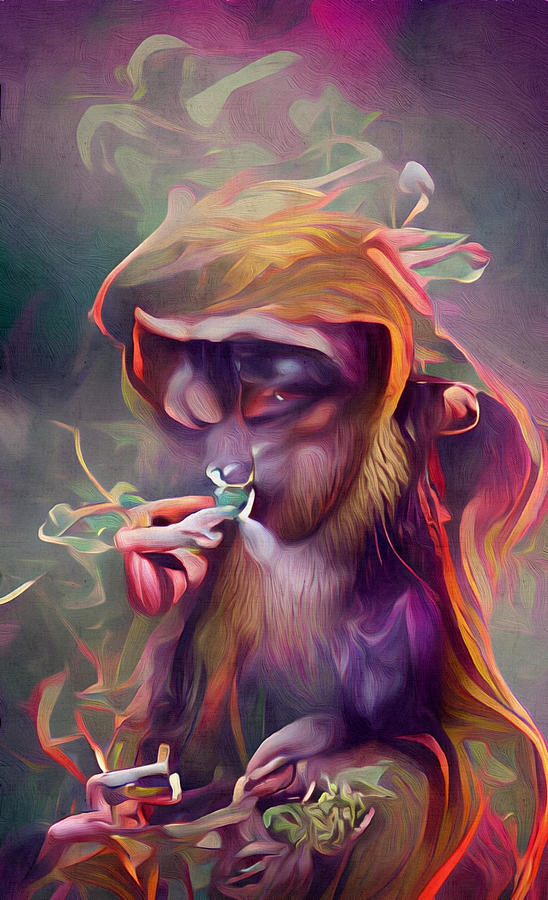 monkeys smoking weed