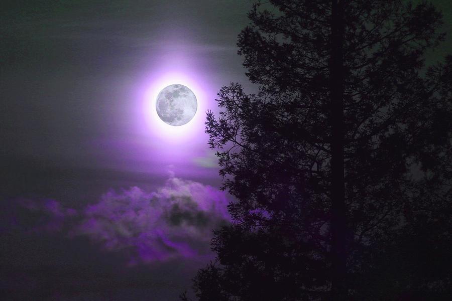 Prince Digital Art - Purple Moon by Ru Tover