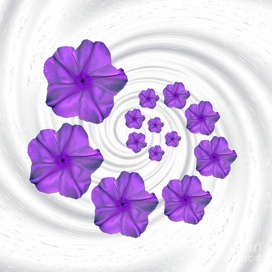 Purple Moonflower White Spiral Digital Art by Rachel Hannah