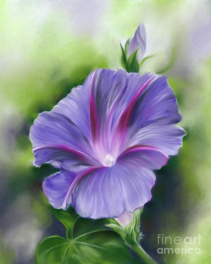 Nature Painting - Purple Morning Glory with Bud by MM Anderson
