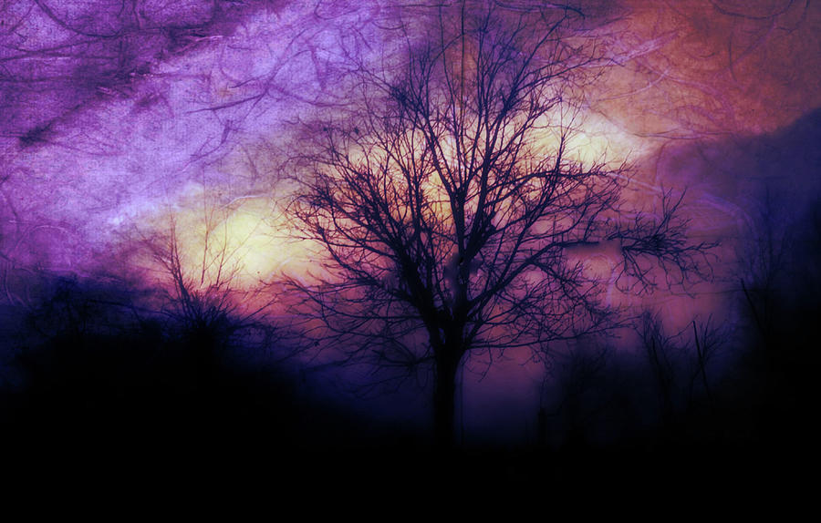 Purple Morning Mixed Media by Pepper Pepper