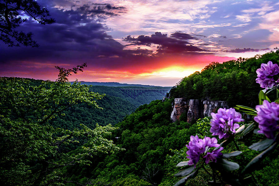 Sunset Photograph - Purple Mountain Majesty  by Lisa Lambert-Shank