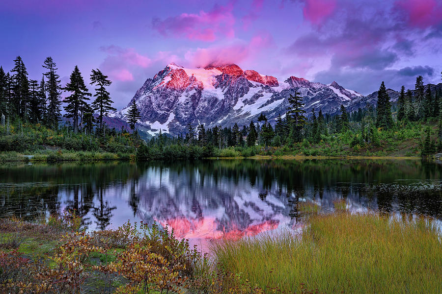 Purple Mountain Majesty Photograph by Michael Schultz - Fine Art America