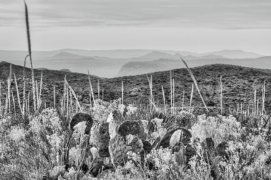 Purple Mountains Majesty Black and White Photograph by JC Findley