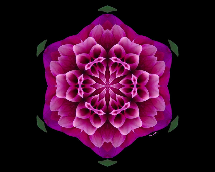 Mum Digital Art - Purple Mum by Bonnie Vent Mum Digital Art - Purple Mum by Bonnie Vent