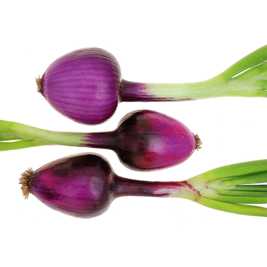 Onion Photograph - Purple Onions  by Jim Hughes