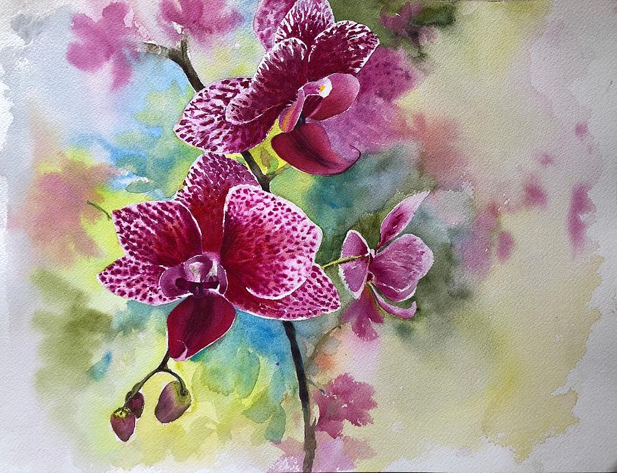 purple orchid drawing