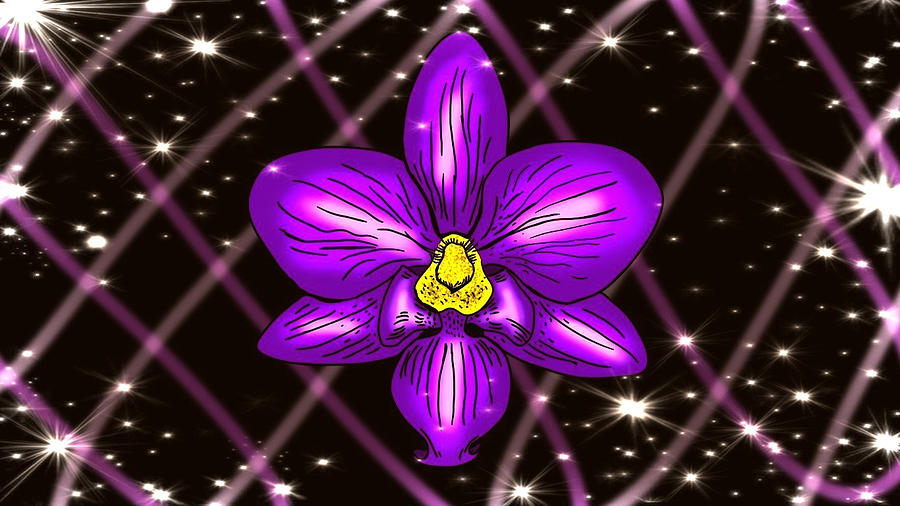 Purple Orchid Drawing by Hailee Steiner Fine Art America