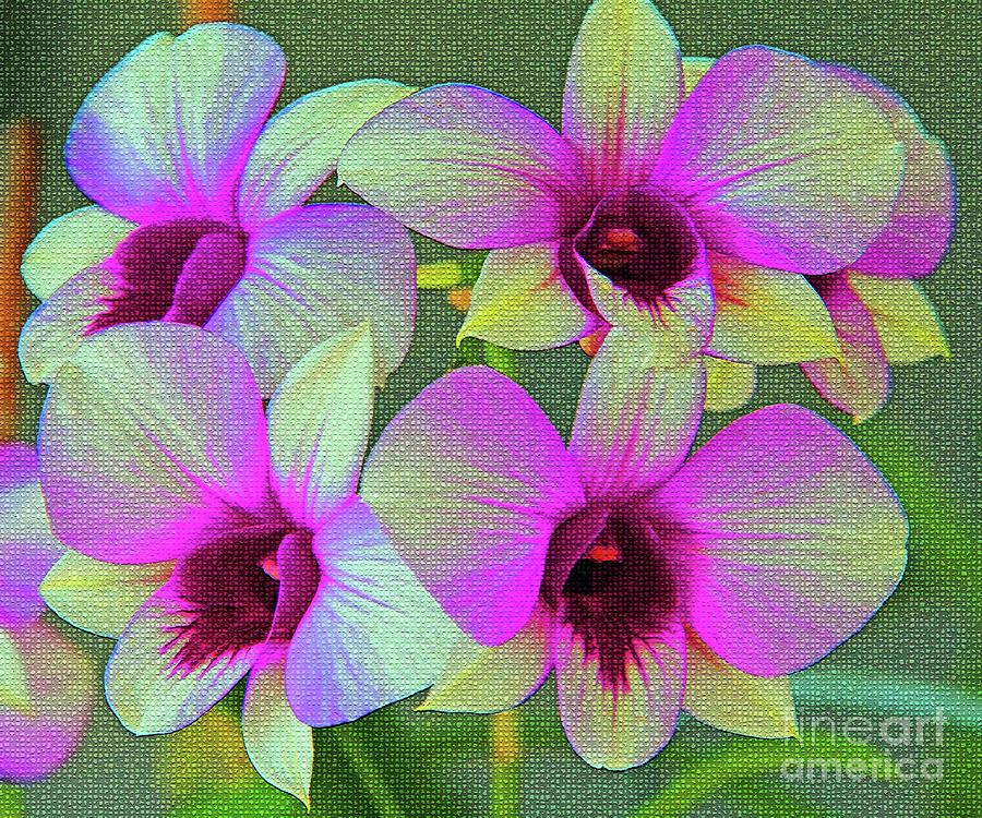 Purple Orchids Digital Art by Patti Powers