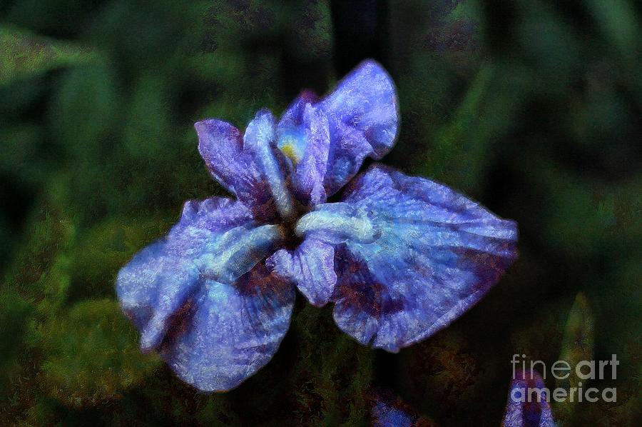 Purple Painterly Iris Photograph by Sea Change Vibes