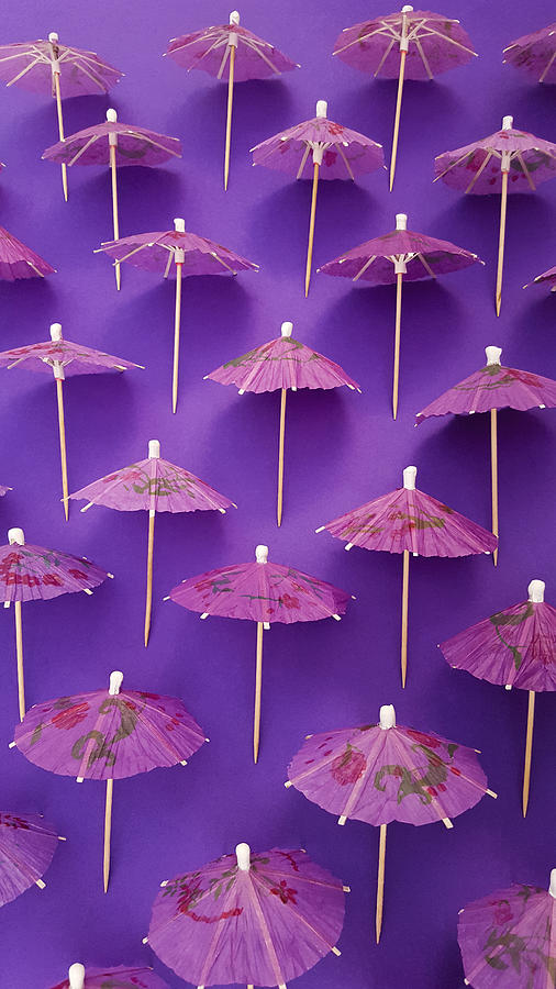 Purple Parasol Photograph by Catherine MacBride