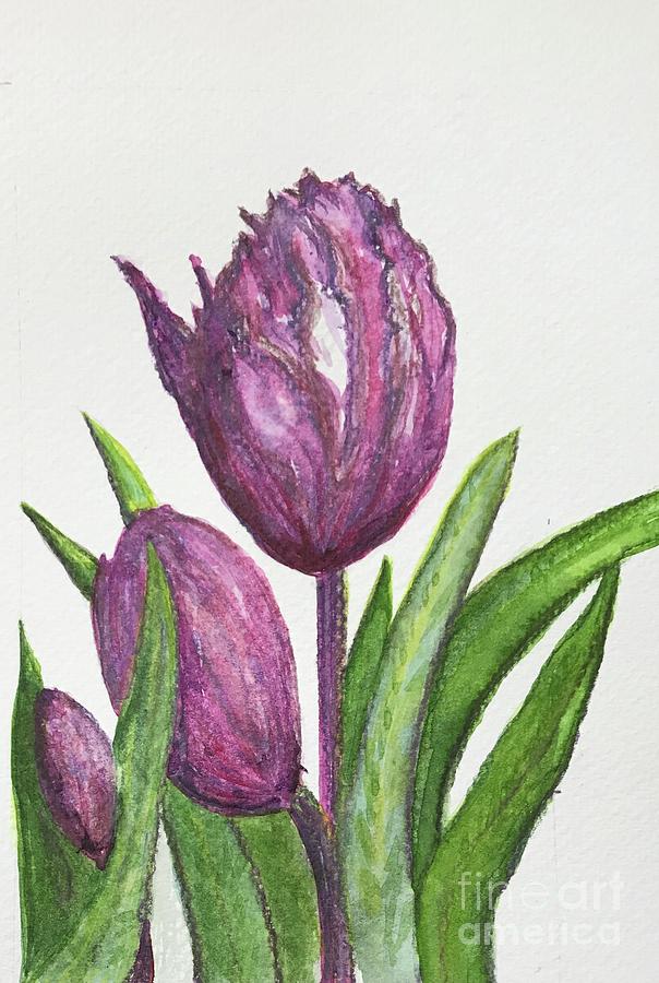 Purple Parrot Tulip Painting by Diane Burr - Fine Art America