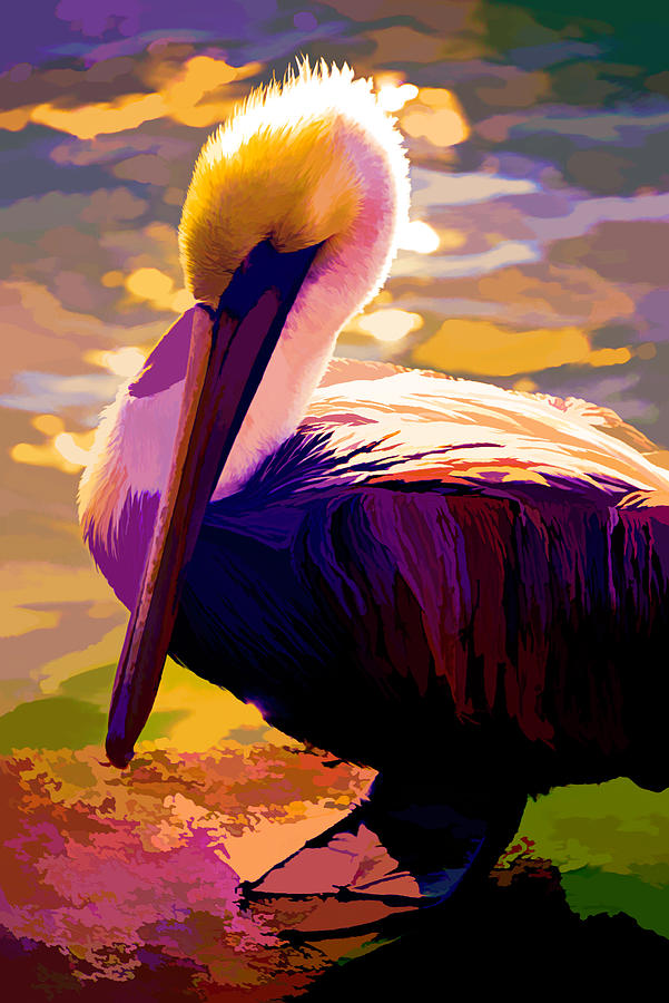 Purple Pelican Photograph by Alison Belsan Horton