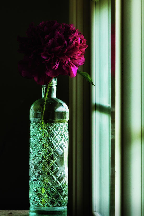 Purple Peony, Green Glass Photograph by Jade Moon