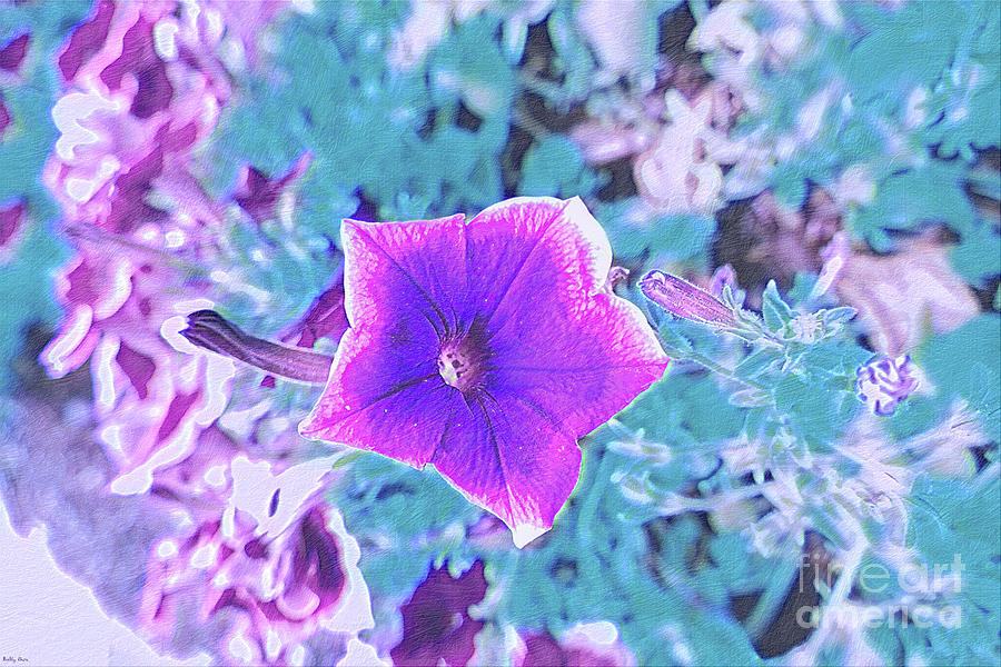Purple Petunia Digital Art by Bentley Davis