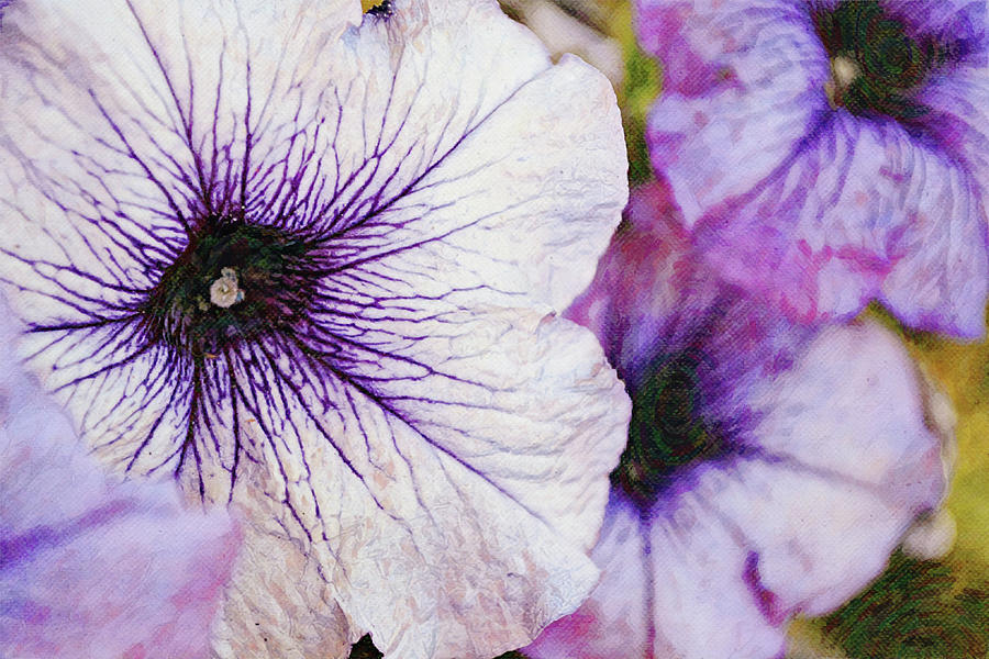 Purple Petunia Flowers Close Up Impression Digital Art by Gaby Ethington