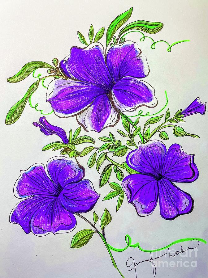 Purple Peunia Drawing by Jennifer Lake