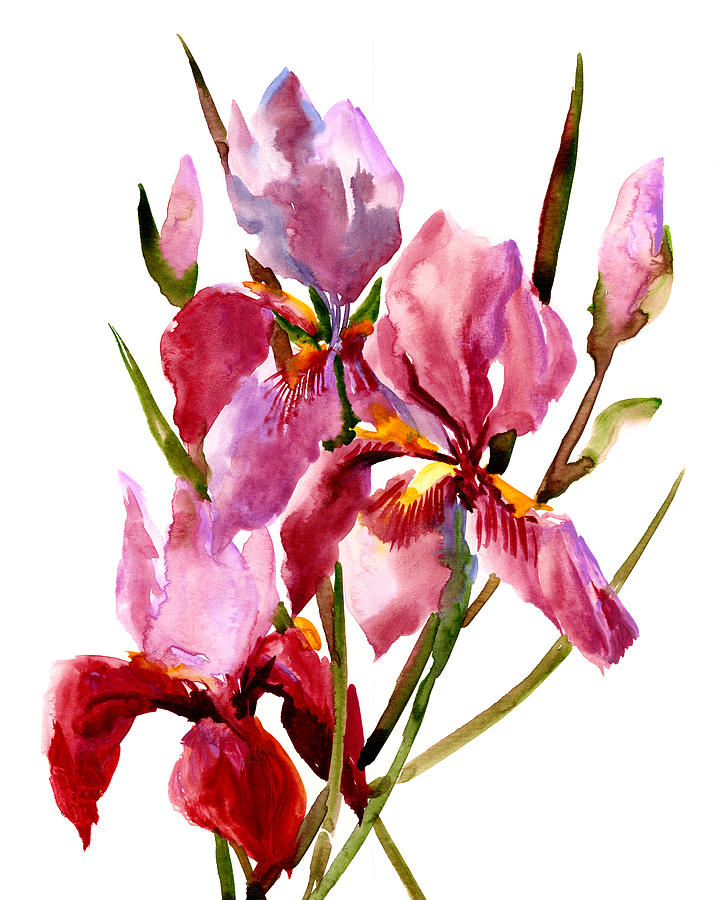 Purple Pink Iris Flowers Painting by Suren Nersisyan