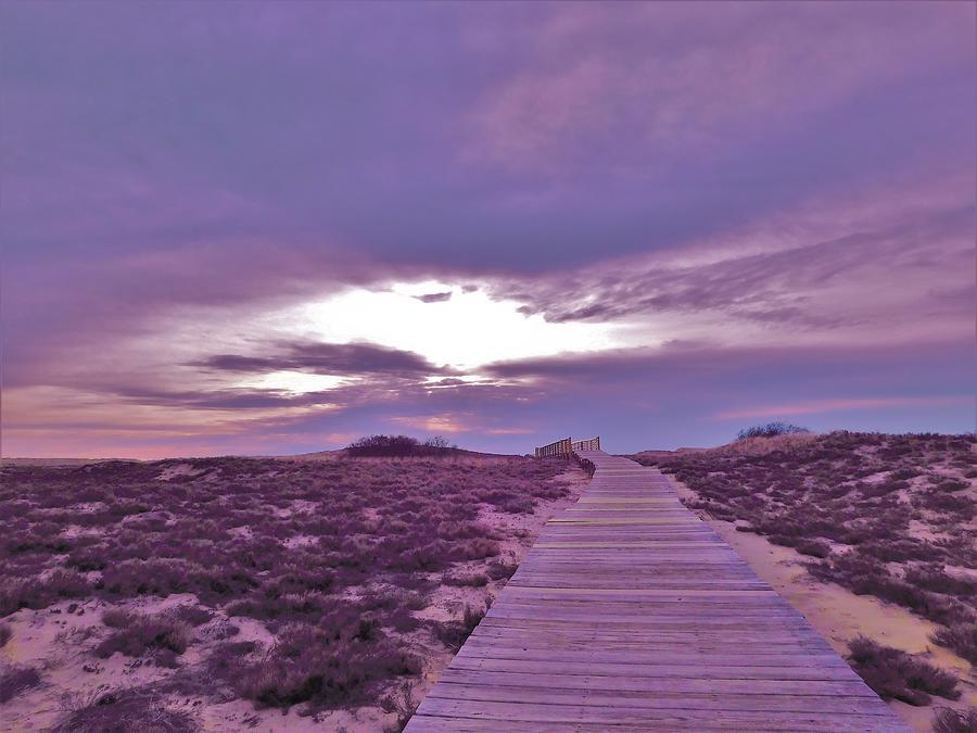- Purple Plum Island Photograph by THERESA Nye