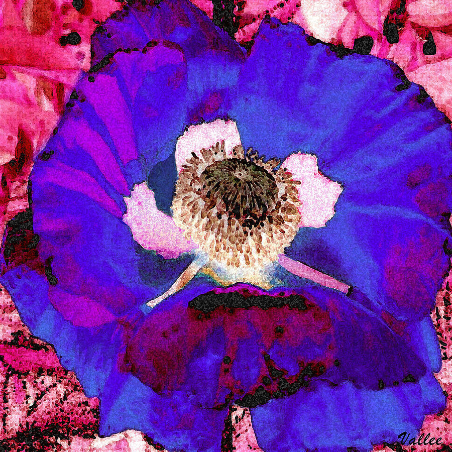 Purple Poppy Digital Art by Vallee Johnson
