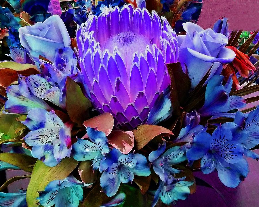 Purple Protea Photograph by Andrew Lawrence