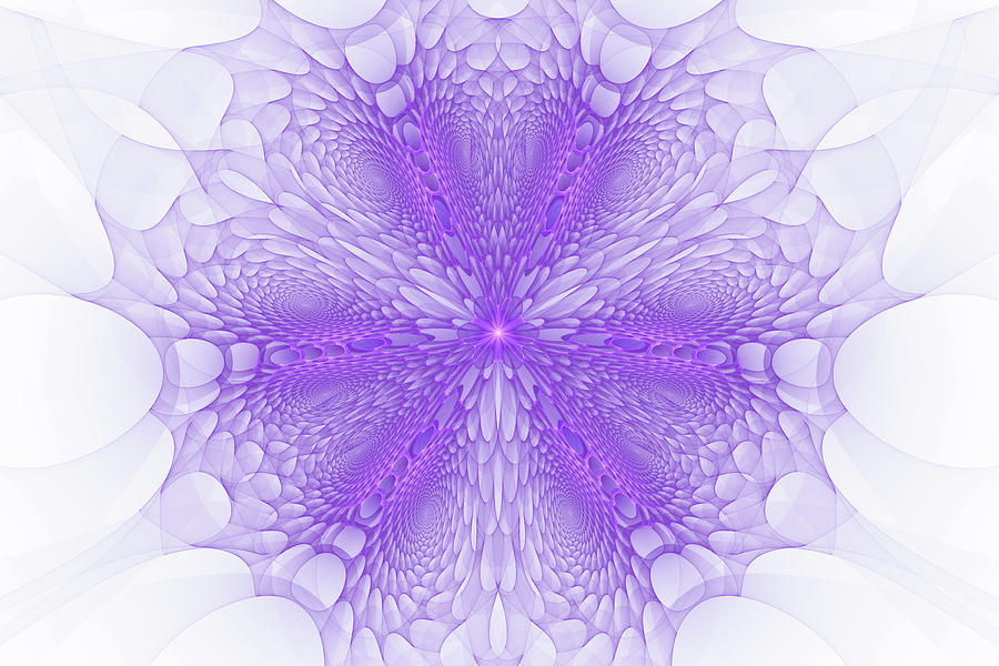 Purple Radiation Fractal Art Digital Art by Matthias Hauser