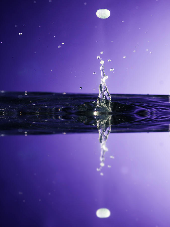 Purple Reflections Photograph by Eugene Campbell