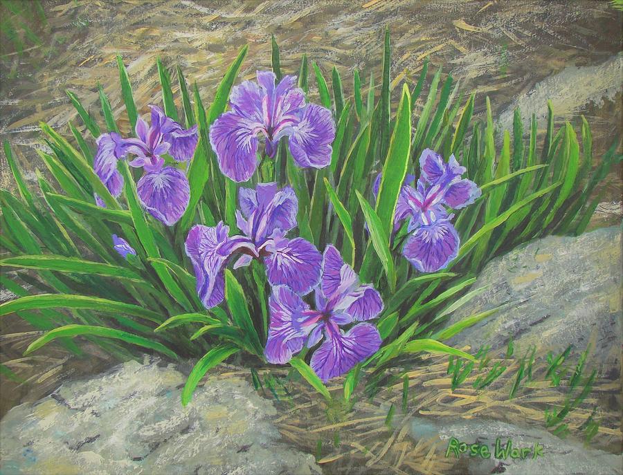Purple Rock Iris Painting by Rose Wark