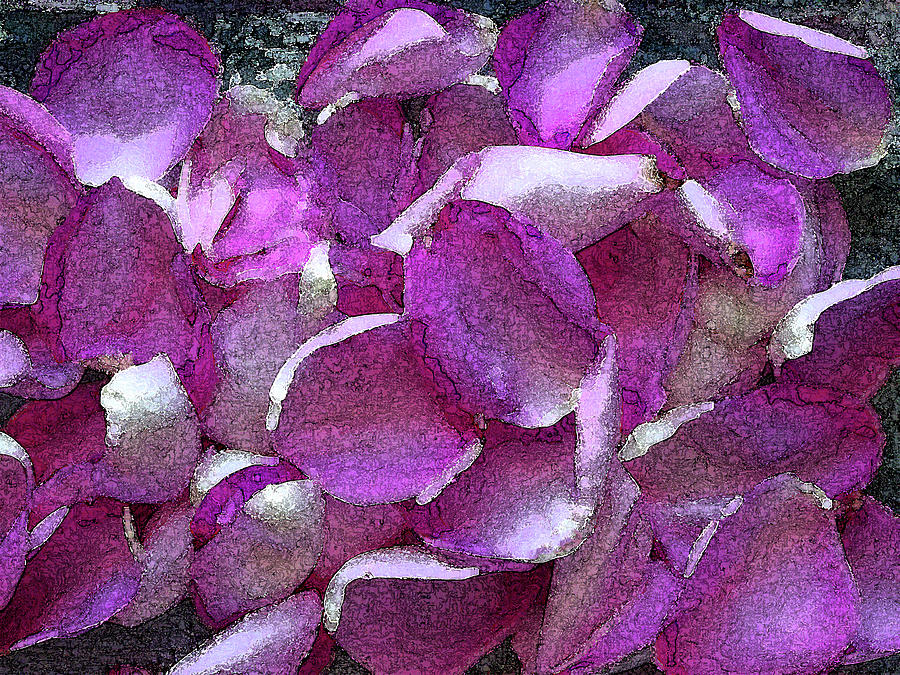 Purple Rose Petals Photograph by Corinne Carroll