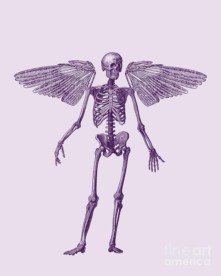 Halloween Digital Art - Purple Skeleton Angel by Madame Memento